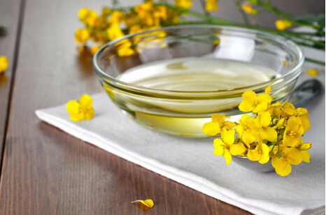 2021年9月8日郑州菜油期货行情