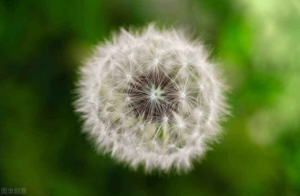 期货交易：知者不言，言者不知！