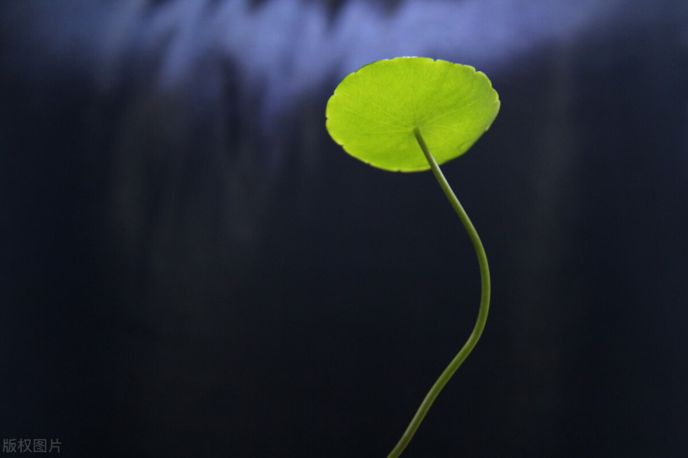 期货交易：知者不言，言者不知！(图2)