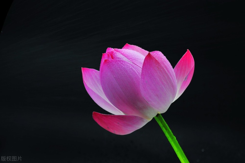 期货交易：知者不言，言者不知！(图3)