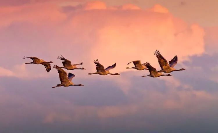 期货大户的深度经验：任何可以最终赚钱的交易者都是趋势交易者！(图3)