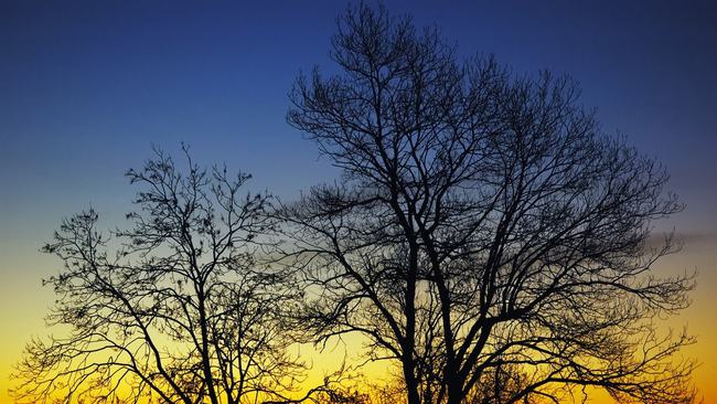 50etf期权在哪个平台可以无风险开户?(图1) 50etf期权在哪个平台可以无风险开户?(图1)