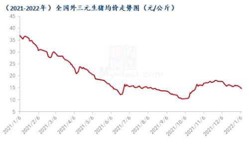 猪价是否止跌反弹？(图1)