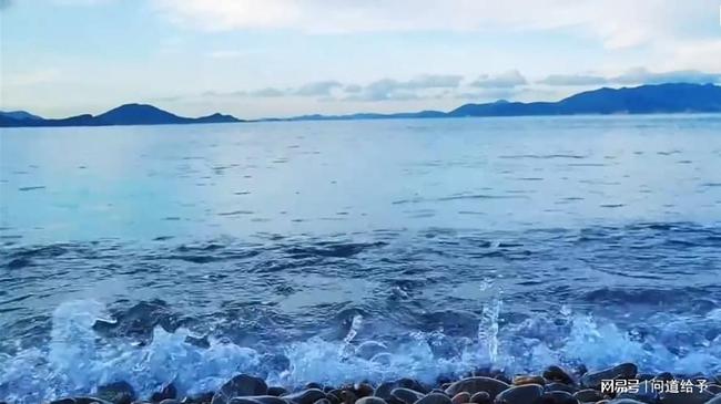 期货投资之“贪婪心理”(图2) 期货投资之“贪婪心理”(图2)