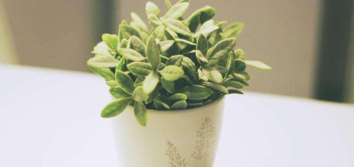 只想期货盈利，不愿承担亏损？ (图2)