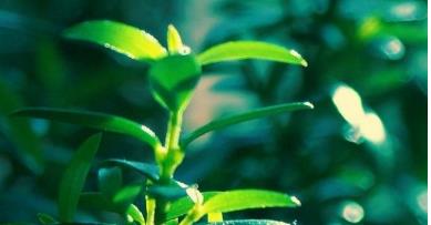 只想期货盈利，不愿承担亏损？ (图1)