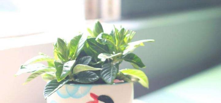 只想期货盈利，不愿承担亏损？ (图4)