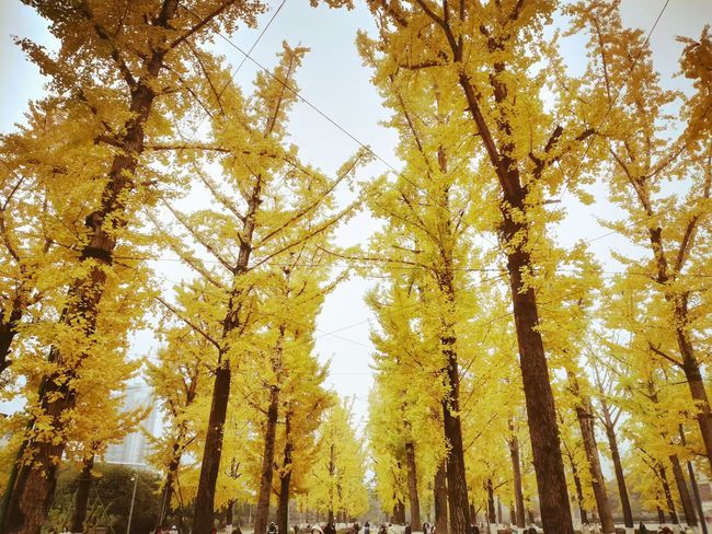 全职做期货需要具备哪些条件?(图1) 全职做期货需要具备哪些条件?(图1)