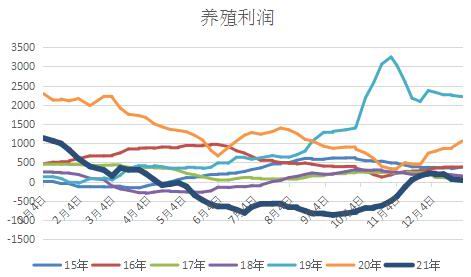 利空渐至 豆粕面临中期调整(图16) 利空渐至 豆粕面临中期调整(图16)