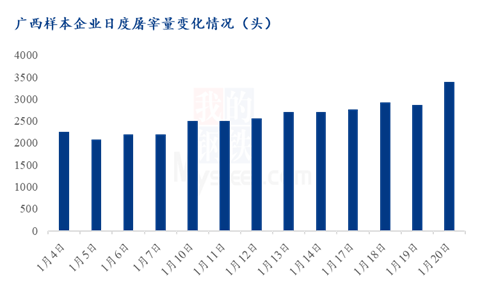 出栏计划完成欠佳，广西猪价年前或难涨(图1)