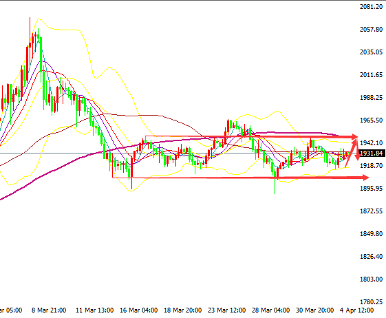 黄金今日看震荡，原油回调继续多！(图1)