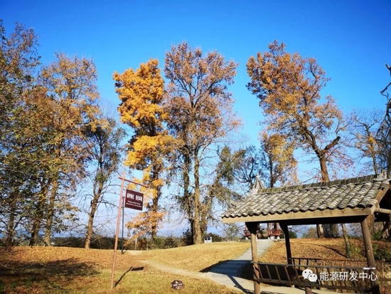 API数据显示美国原油再现千万桶级累库！油价承压回调(图2)