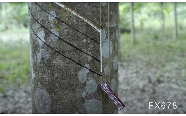 国信期货早评：金银震荡调整延续