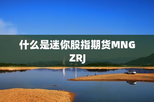 什么是迷你股指期货MNGZRJ？