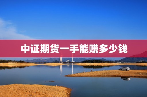 中证期货一手能赚多少钱？