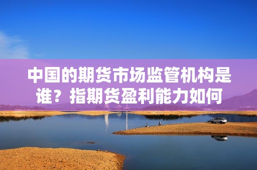 中国的期货市场监管机构是谁？指期货盈利能力如何？