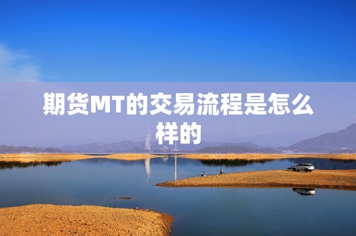 期货MT的交易流程是怎么样的？(图1)