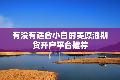 有没有适合小白的美原油期货开户平台推荐？