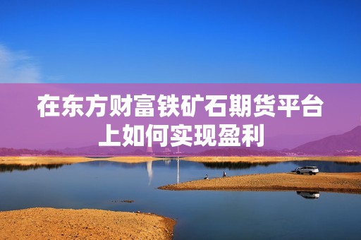 在东方财富铁矿石期货平台上如何实现盈利？5365