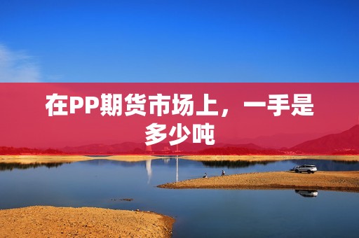 在PP期货市场上，一手是多少吨？