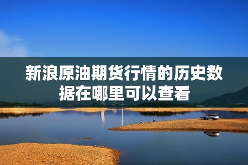 新浪原油期货行情的历史数据在哪里可以查看？