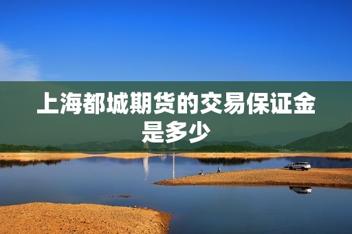 上海都城期货的交易保证金是多少？