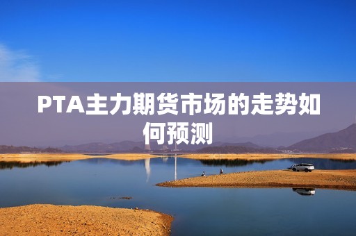 PTA主力期货市场的走势如何预测？