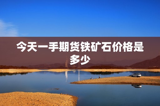 今天一手期货铁矿石价格是多少