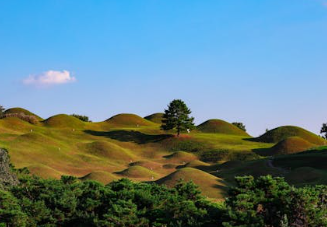 新西兰元在日内跌至8月以来的低点,受降息预期影响