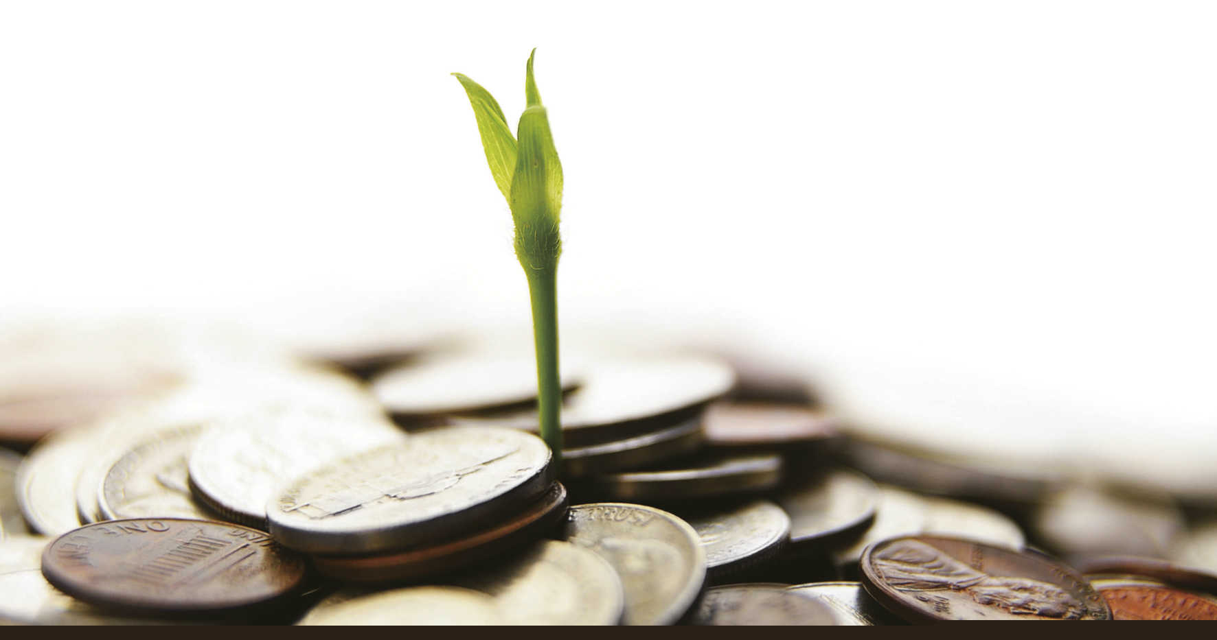 什么是期货价格走势中的旗形？(图1)