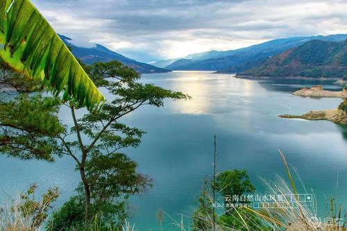 国际期货app？国际期货交易平台 app？(图5)