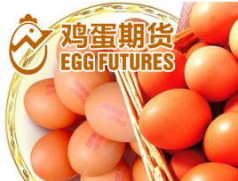 鸡蛋期货怎么开户?鸡蛋期货开户怎么办理