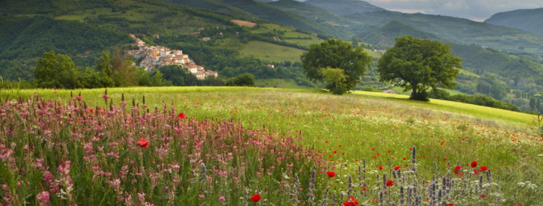 期货大老板【看国内期货】(图1)