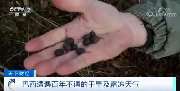 原料期货价格大涨超45%：有人提前一年“囤货”这种饮料会涨价吗？(图5)