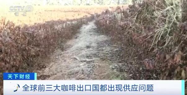 原料期货价格大涨超45%：有人提前一年“囤货”这种饮料会涨价吗？(图3)