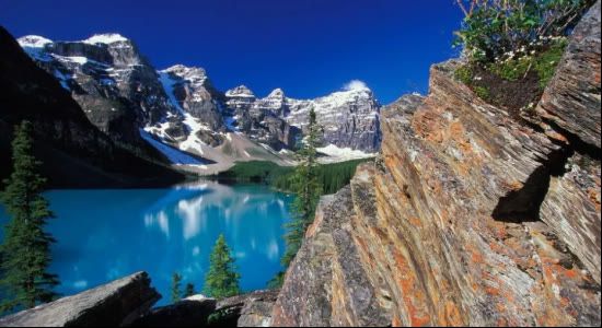 期货交易最终目的是什么？