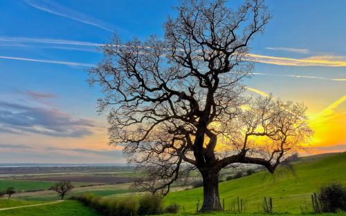 今日国际期货行情-期货行情。(图4)