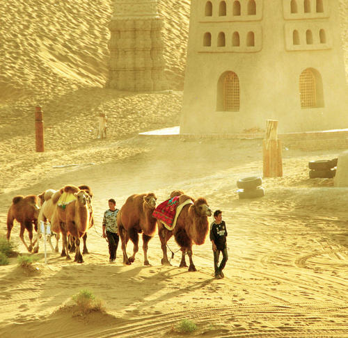 今日国际期货行情-期货行情。(图5)