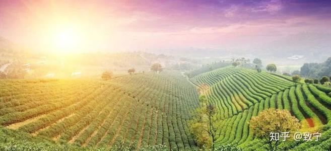 上海贵金属交易所行情分析-今日国际期货行情！(图5)