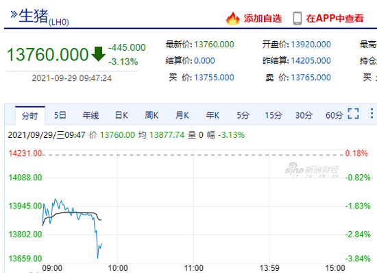 生猪期货主力合约跌超3% 现报13760元/吨