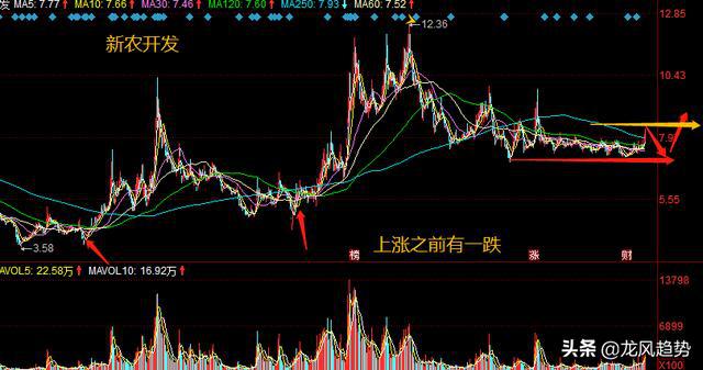 疯狂的棉花牛市行情开启,棉花概念龙头筑底完成(图2) 疯狂的棉花牛市行情开启,棉花概念龙头筑底完成(图2)