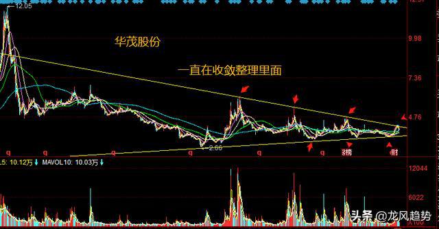 疯狂的棉花牛市行情开启,棉花概念龙头筑底完成(图4) 疯狂的棉花牛市行情开启,棉花概念龙头筑底完成(图4)