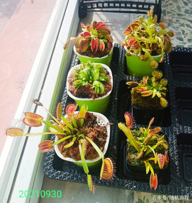 遇到期货连续回撤怎么办?(图6) 遇到期货连续回撤怎么办?(图6)