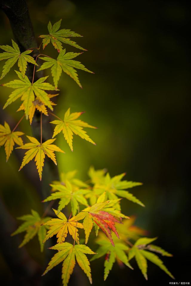 期货是一个浓缩的人生：始终如一，永不放弃(图1)