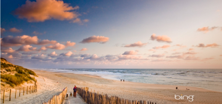 期货的血泪(图2)