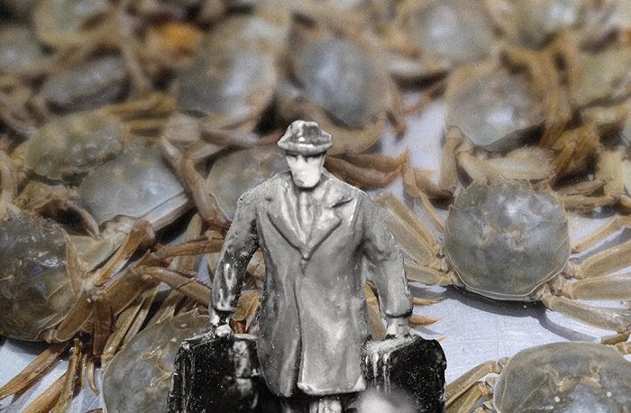 空手赚得上百万：“蟹老板”的期货生意(图2)