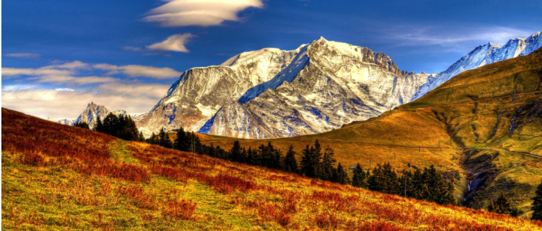 期货第一亏(煤炭期货号)(图2)