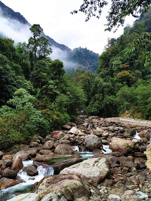 基金基础知识大全贵州期货从业资格:期货行情解读模拟试题(图2) 基金基础知识大全贵州期货从业资格:期货行情解读模拟试题(图2)