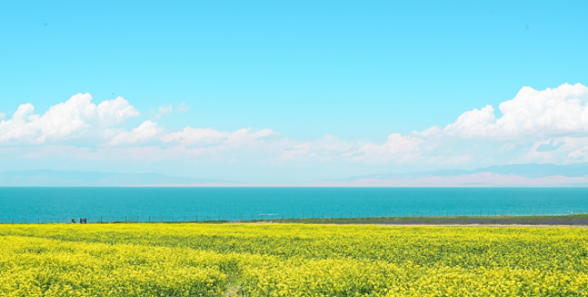 期货多空线(图3)