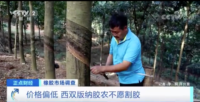 动力煤日内涨超10%！这种原料，价格每吨涨超2000元，农民却纷纷放弃它？